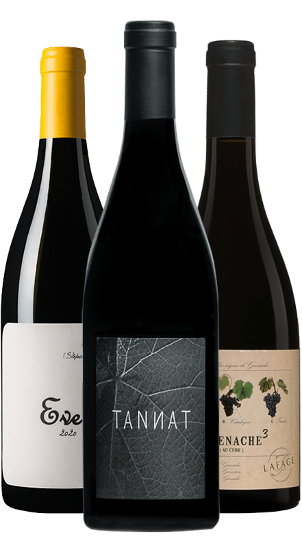 אדומים עוצמתיים מצרפת ים תיכוני